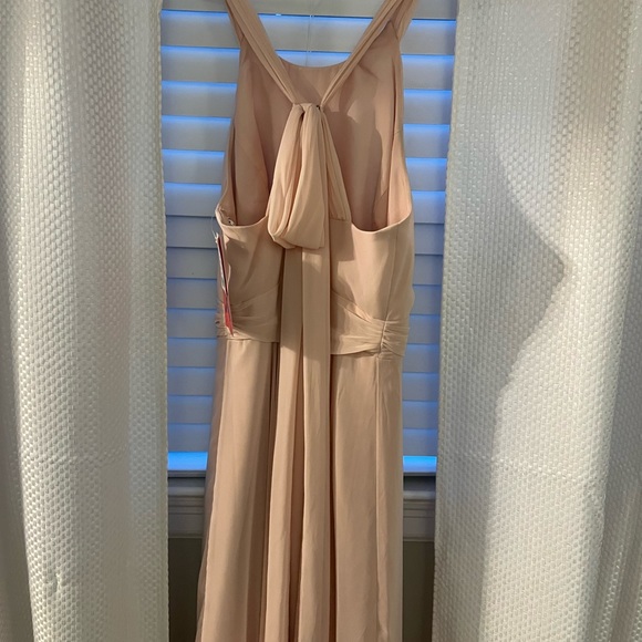 Dessy Cross Strap Open-Back Halter Maxi Dress - Blush; Size 16, Extra Length - Picture 3 of 5